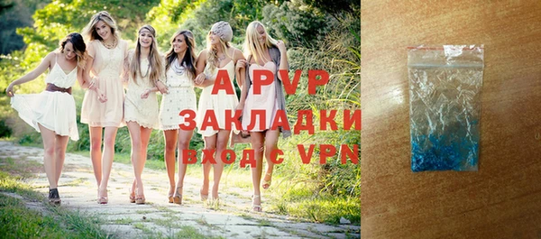 ГАЛЛЮЦИНОГЕННЫЕ ГРИБЫ Дмитриев