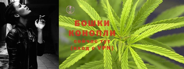 PSILOCYBIN Елабуга