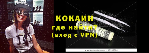 ГАЛЛЮЦИНОГЕННЫЕ ГРИБЫ Дмитриев