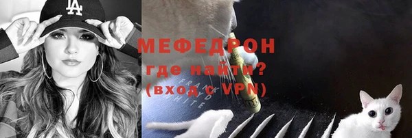 МДПВ Ельня