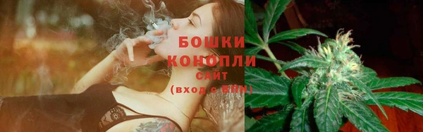PSILOCYBIN Елабуга