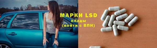 МДПВ Ельня