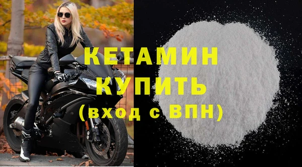 ГАЛЛЮЦИНОГЕННЫЕ ГРИБЫ Дмитриев