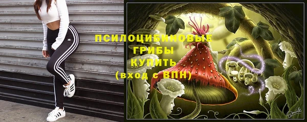 МДПВ Ельня