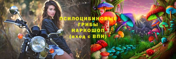 бутират Дмитровск