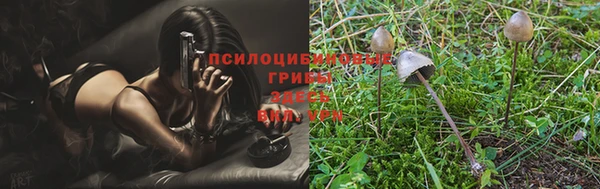 ALPHA-PVP Елизово