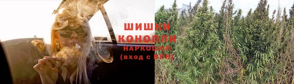 МДПВ Ельня