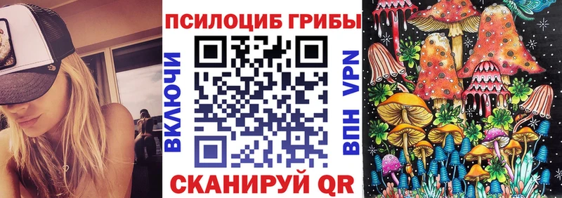 Купить  Чадан  Галлюциногенные грибы Magic Shrooms 