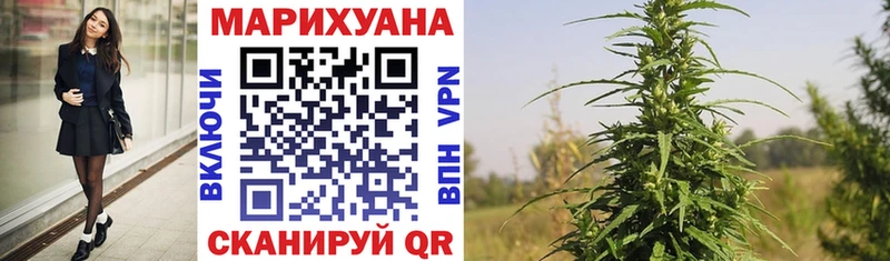 Конопля AK-47  Купить где  Чадан 